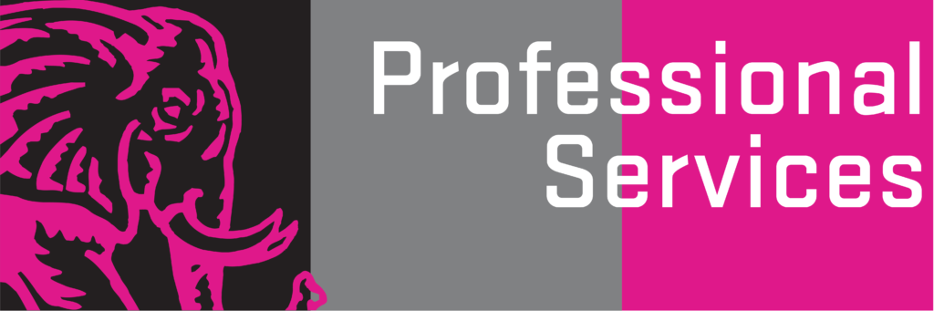 Pink: Professional Services